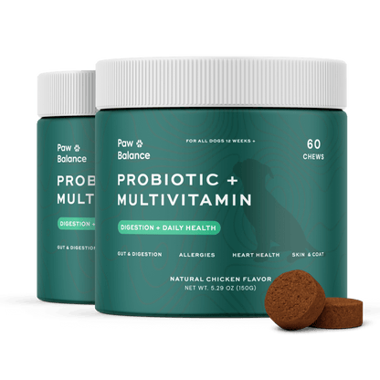 Dog Daily Probiotic + Multivitamin Chews 1 Jar