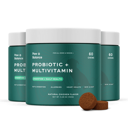 Dog Daily Probiotic + Multivitamin Chews 1 Jar
