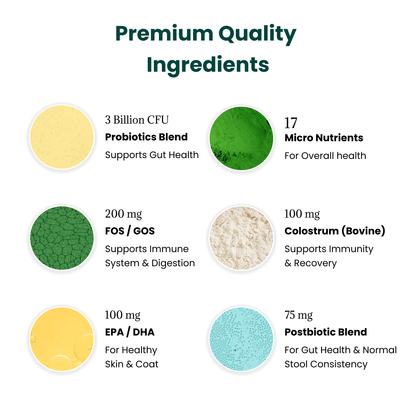 Dog Daily Probiotic + Multivitamin Chews