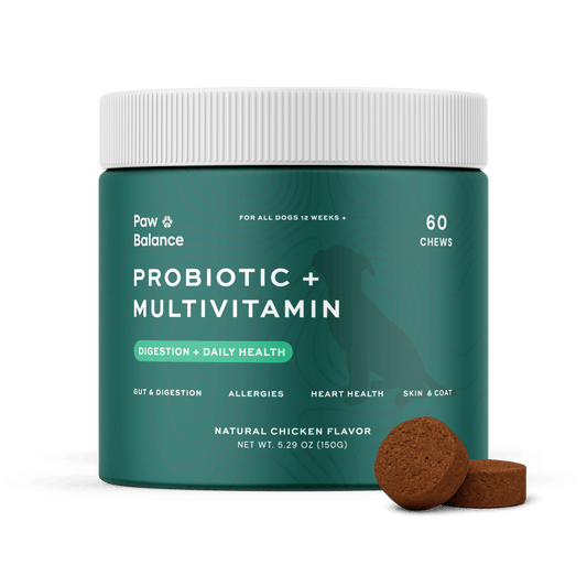 Dog Daily Probiotic + Multivitamin Chews