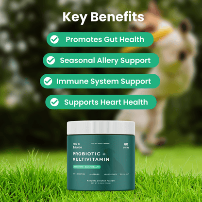 Dog Daily Probiotic + Multivitamin Chews