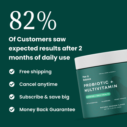 Dog Daily Probiotic + Multivitamin Chews